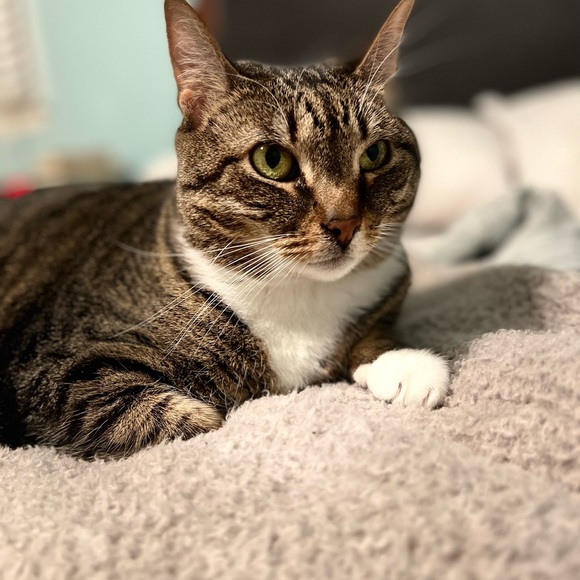 Meet your Posher, Kaitlyn - Picture 4 of 8